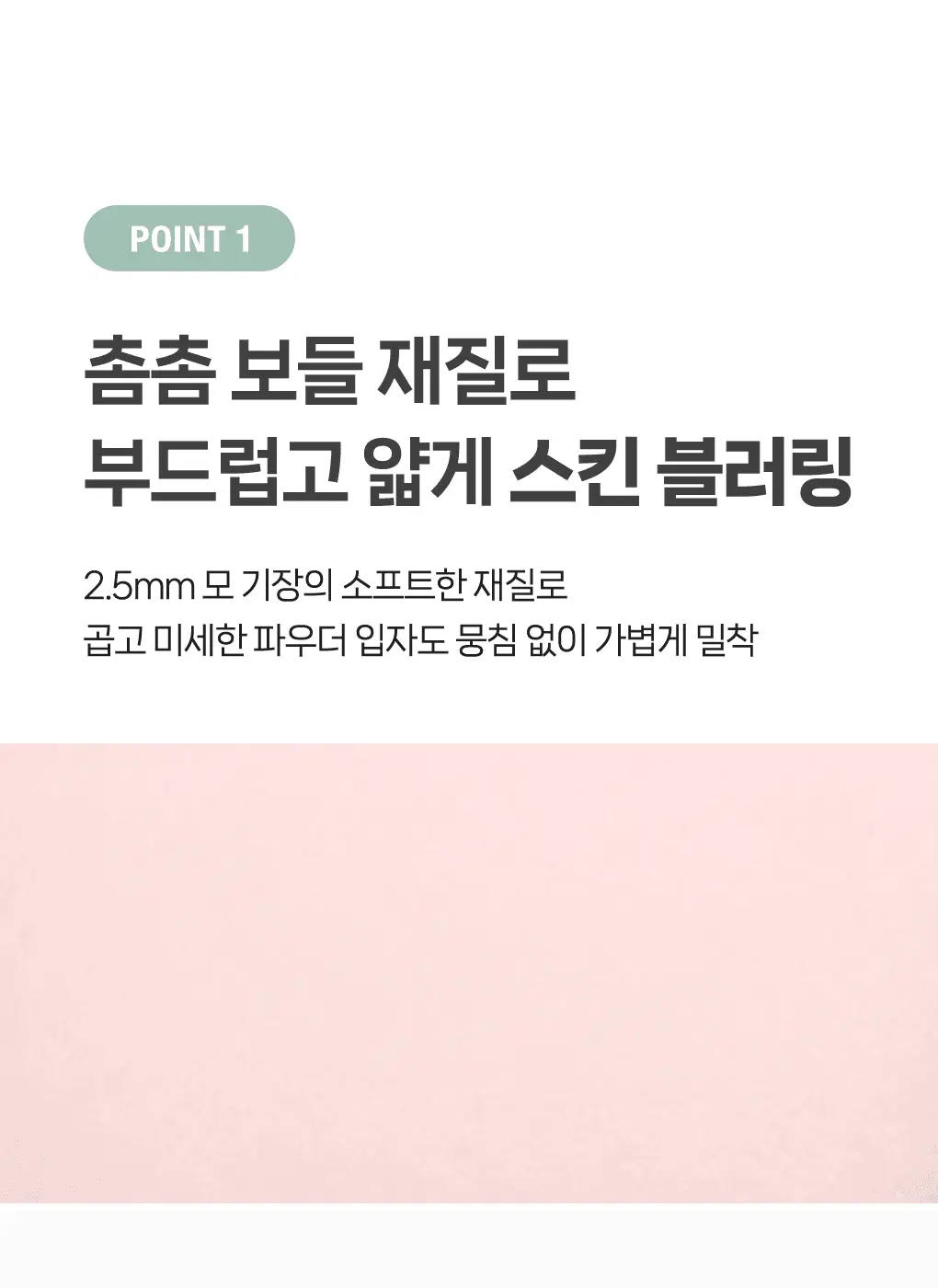 [포켓몬 에디션] 필리밀리 퍼프 골라담기 택1 상세페이지 216